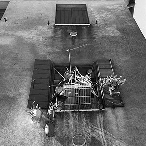 New Venice 20110321 253