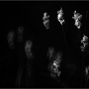 LichtDSC 0234