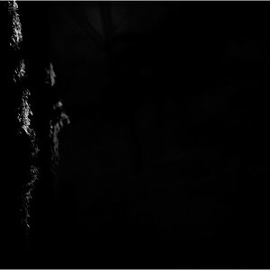 LichtDSC 0256