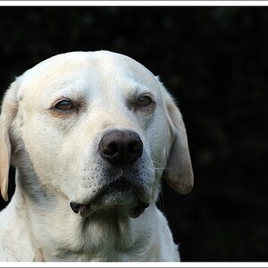 Paul - 2. Bild - 04/2011