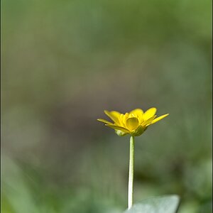 2011 04 03 10 22 49