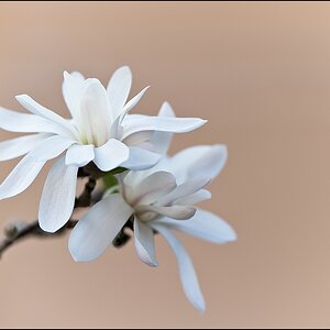 2011 04 03 15 44 31