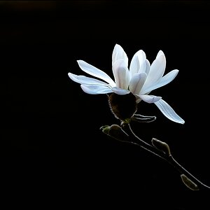 2011 04 03 15 46 06