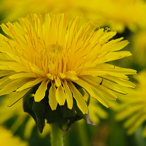 2011 04 27 17 25 57 1
