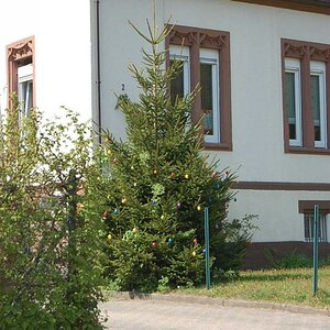 Oster- Weihnachtsbaum