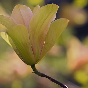 20110418 113234