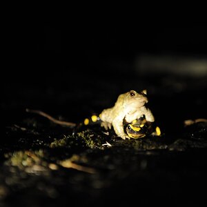 Und was sagen Eure Eltern dazu???
DSC 0639a web