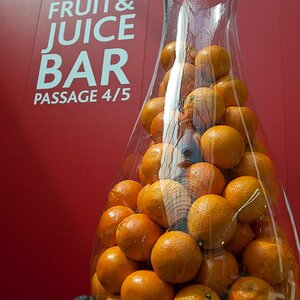 Art Cologne