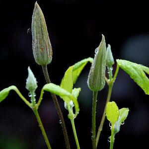 Foto4511