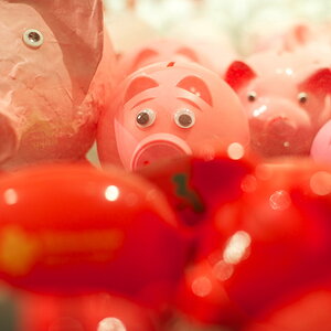 schweine 2(nff)