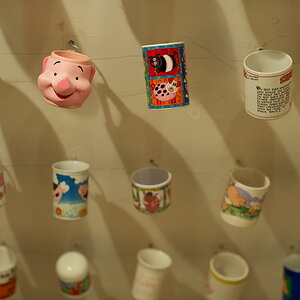 schweine 3(nff)