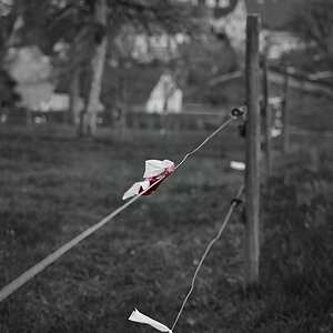 20110330 DSC 6519 Bearbeitet