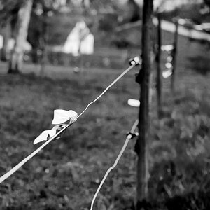 20110330 DSC 6520 Bearbeitet