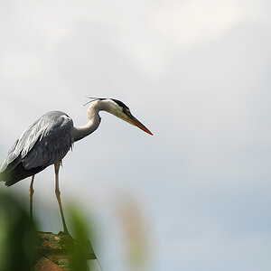 2011 05 15 DSC 1380 1000