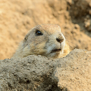 20110429 0944 [NIKON D5100] 400 mm,1 60 Sek. bei ƒ   8,0