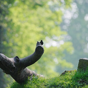 20110429 8224 [NIKON D3] 400 mm,1 400 Sek. bei ƒ   4,5
