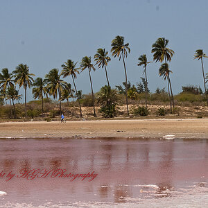 Kleiner Lac Rosé. Dieser kleine rosa gefärbte See oder Tümpel liegt in der Nähe von Gandiol/St.Louis-Senegal.
Die Rosafärbung entsteht durch Mineralie