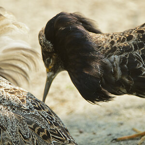 20110429 0999 [NIKON D5100] 380 mm,1 400 Sek. bei ƒ   4,0