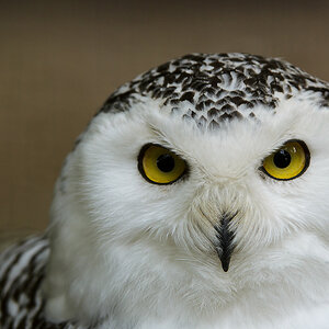 20110429 1022 [NIKON D5100] 240 mm,1 400 Sek. bei ƒ   4,0