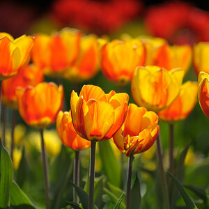 20110416 135831