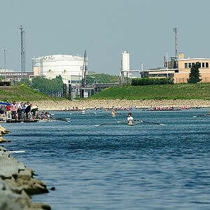 Frühregatta in Mannheim