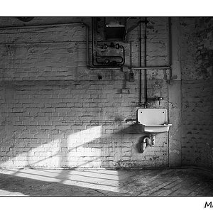 2011 02 20 06 web