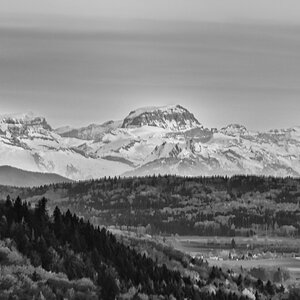 20110406 DSC 6582