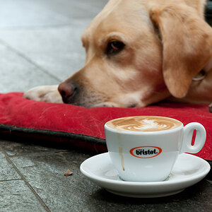 Kaffeesaufen1