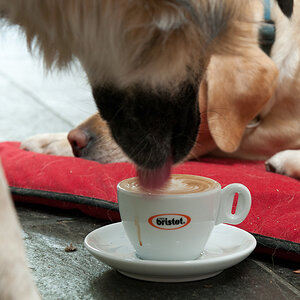 Kaffeesaufen2