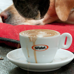 Kaffeesaufen3