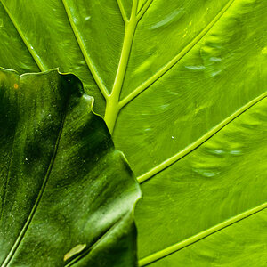 20110515 DSC 7664