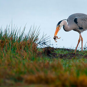 20110319  DSC7422