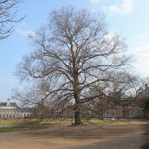 Dresden 19