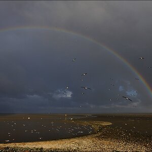 acomp Nordfriesland 20110515 1491