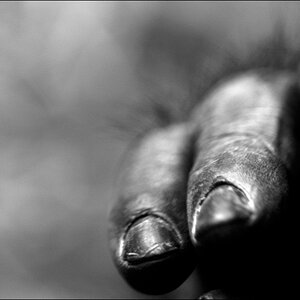ZooDSC 0630