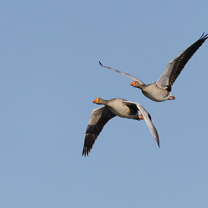 im Duo
am Kastenweiher