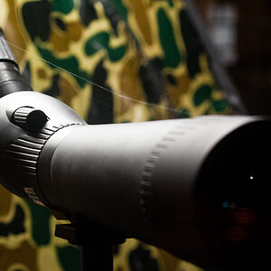 Selbst bei Fotomax wird Wert auf authentische Schaufensterdekoration gelegt... ;o)