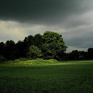 DSCN0725