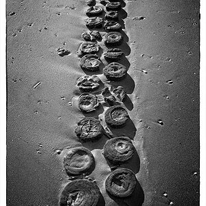 Holzbuhnenstummel im Sand