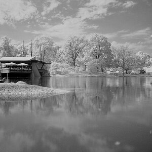 DSC 002581 sw