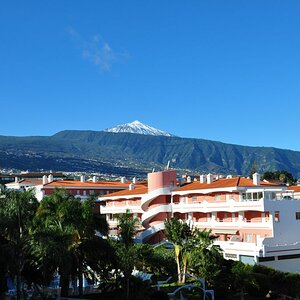 DSC 0252