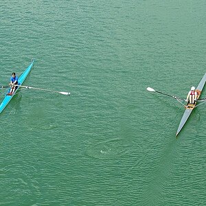 Frühregatta in Mannheim