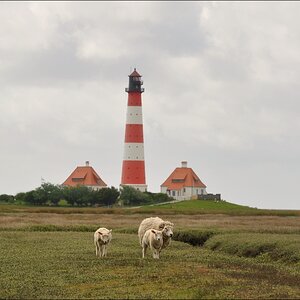 aaa comp abKatinger Watt 871   Bearbeitet