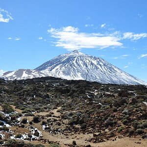 DSC 0530