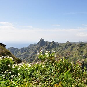 DSC 0558