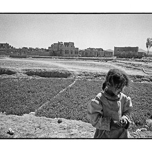 Yemen 74 print