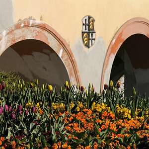 DSC 2025 Bogen mit Blumen Forum