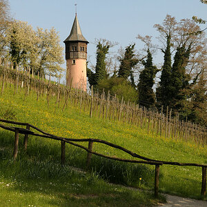 DSC 2280 Turm 3Forum