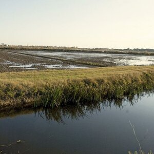 Albufera