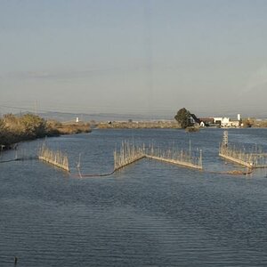 Albufera